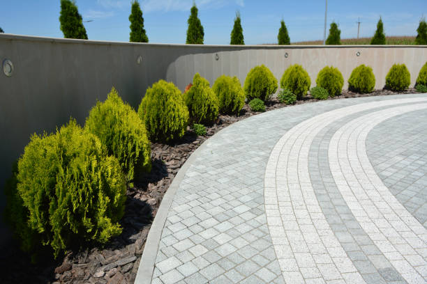 Best Permeable Paver Driveway  in Saluda, SC